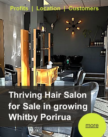 Thriving Hair Salon for Sale in growing Whitby Porirua