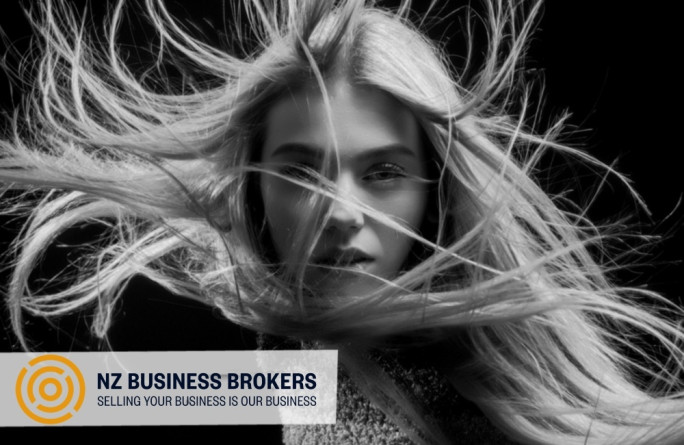 E-commerce Hair Industry Business for Sale Auckland