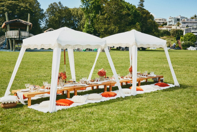 Chicnique Luxury Picnics Business for Sale Auckland 