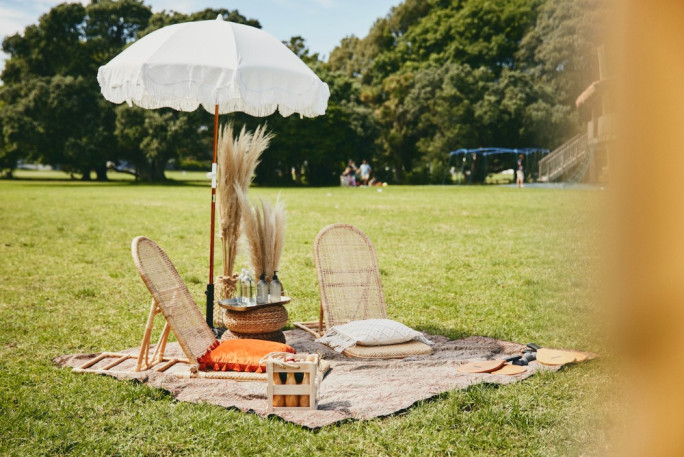 Chicnique Luxury Picnics Business for Sale Auckland 