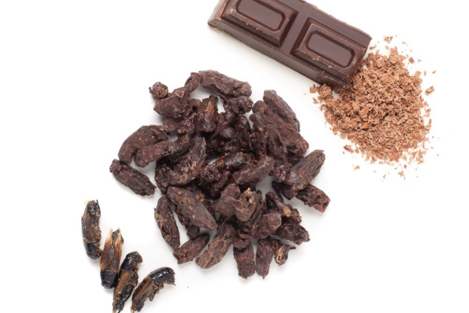 Edible Insect Distributor Business for Sale Auckland 