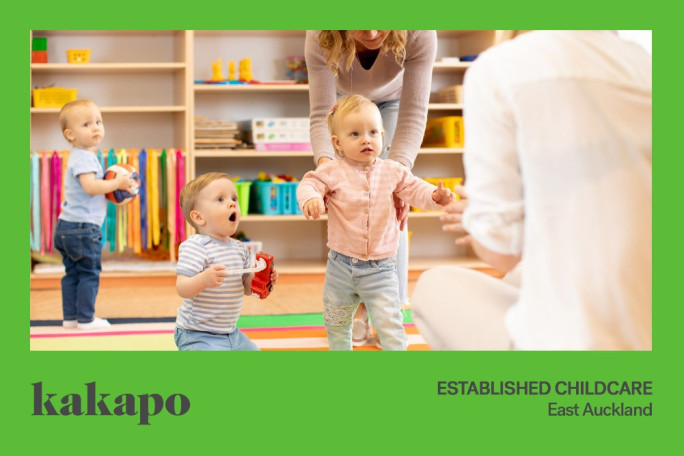 Childcare Early Childhood ECE Business for Sale East Auckland