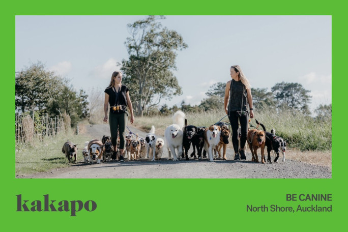 Dog Walking Business for Sale North Shore Auckland 