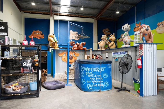 Dog Wash Business for Sale Rosedale Auckland 