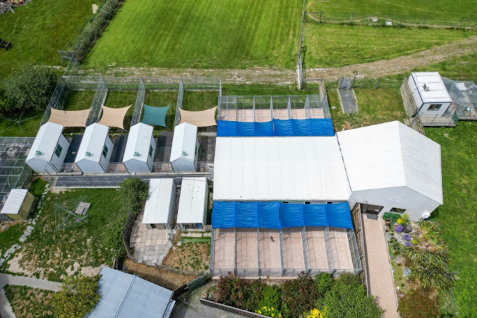 Property & Boarding Kennel Business for Sale Loburn, North Canterbury 