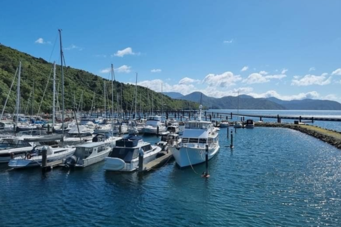 Marine Maintenance Business for Sale Picton 