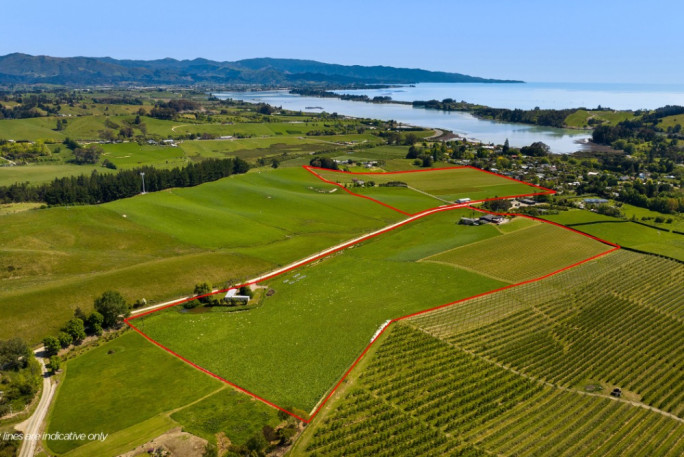 Vineyard Business for Sale Tasman 