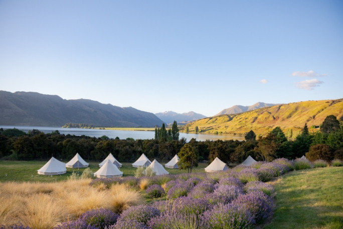 Luxury Glamping Equipment  for Sale Wanaka Relocatable 