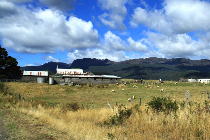 Agricultural Servicing  Business for Sale Oamaru & South Canterbury