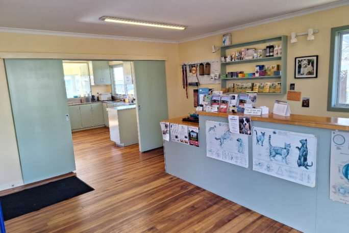 Vet Clinic Business for Sale New Plymouth 