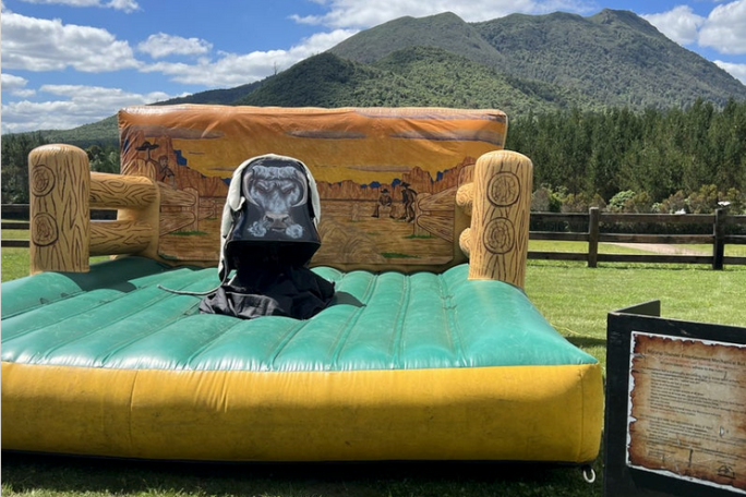 Mechanical Bull Business for Sale Taupo District