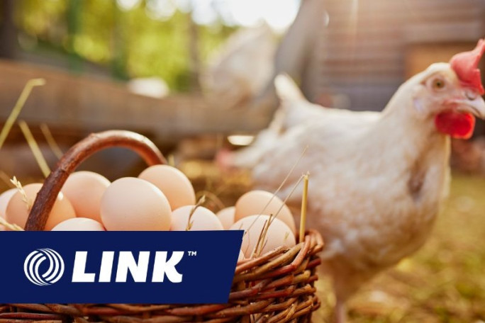 Hauraki Eggs Business for Sale Waikato 