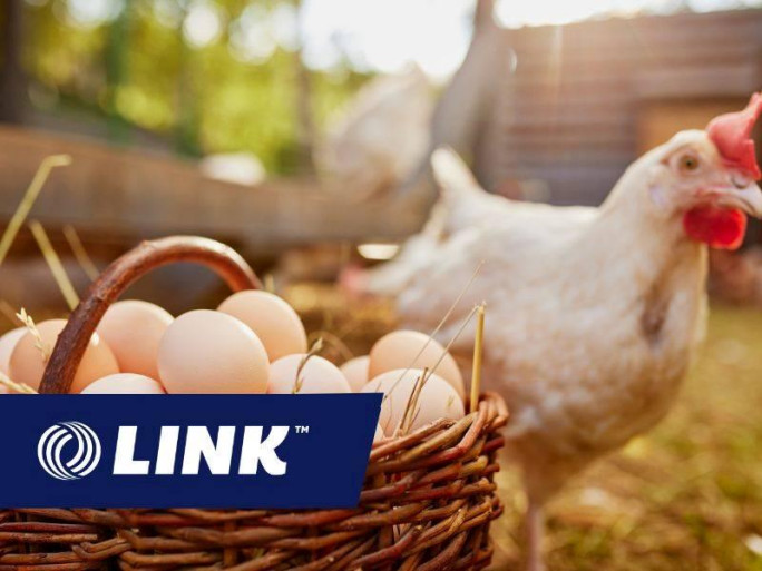 Hauraki Eggs Business for Sale Waikato