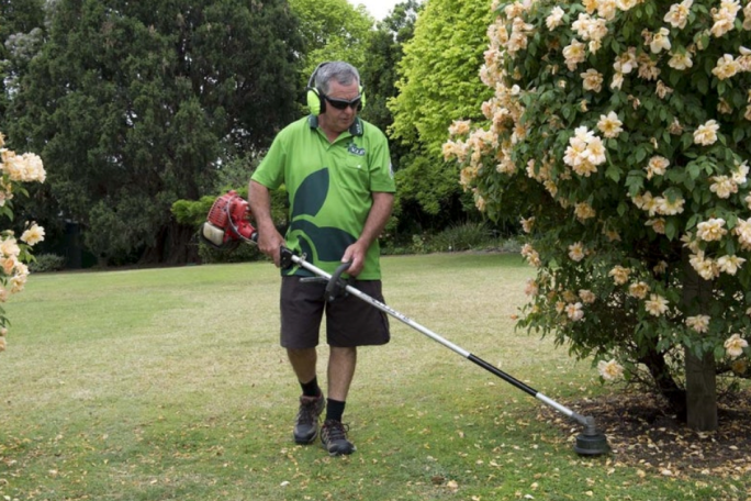 Lawnmowing & Gardening Franchise for Sale North Shore Auckland 