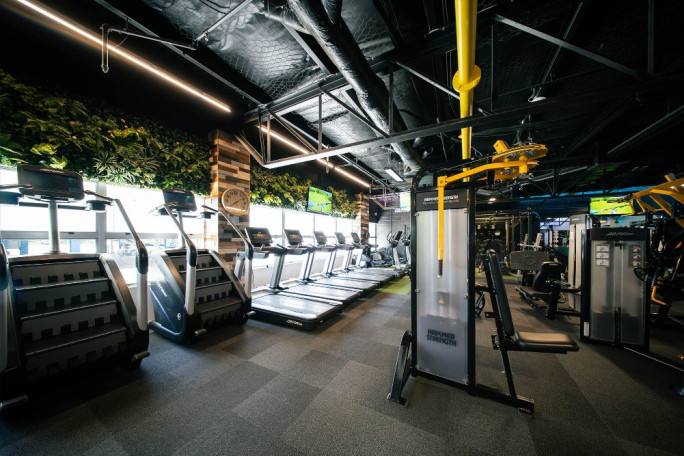 Flex Fitness Gym Franchise for Sale Chartwell Hamilton