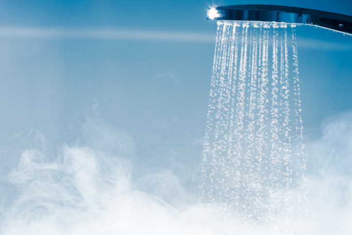 Shower Fix Services Franchise for Sale Taranaki 